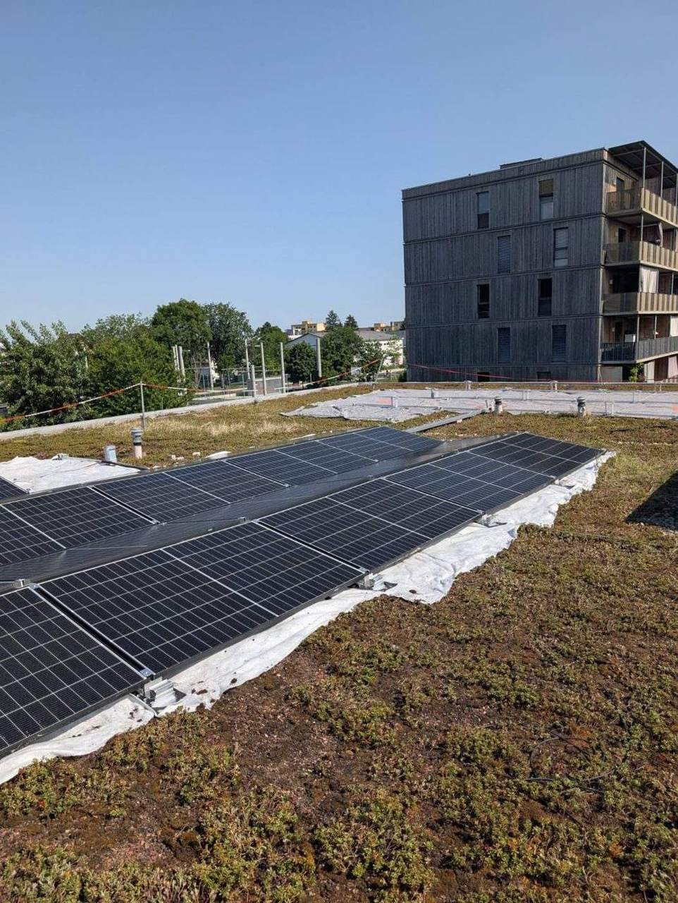 Photovoltaik auf begrüntem Flachdach