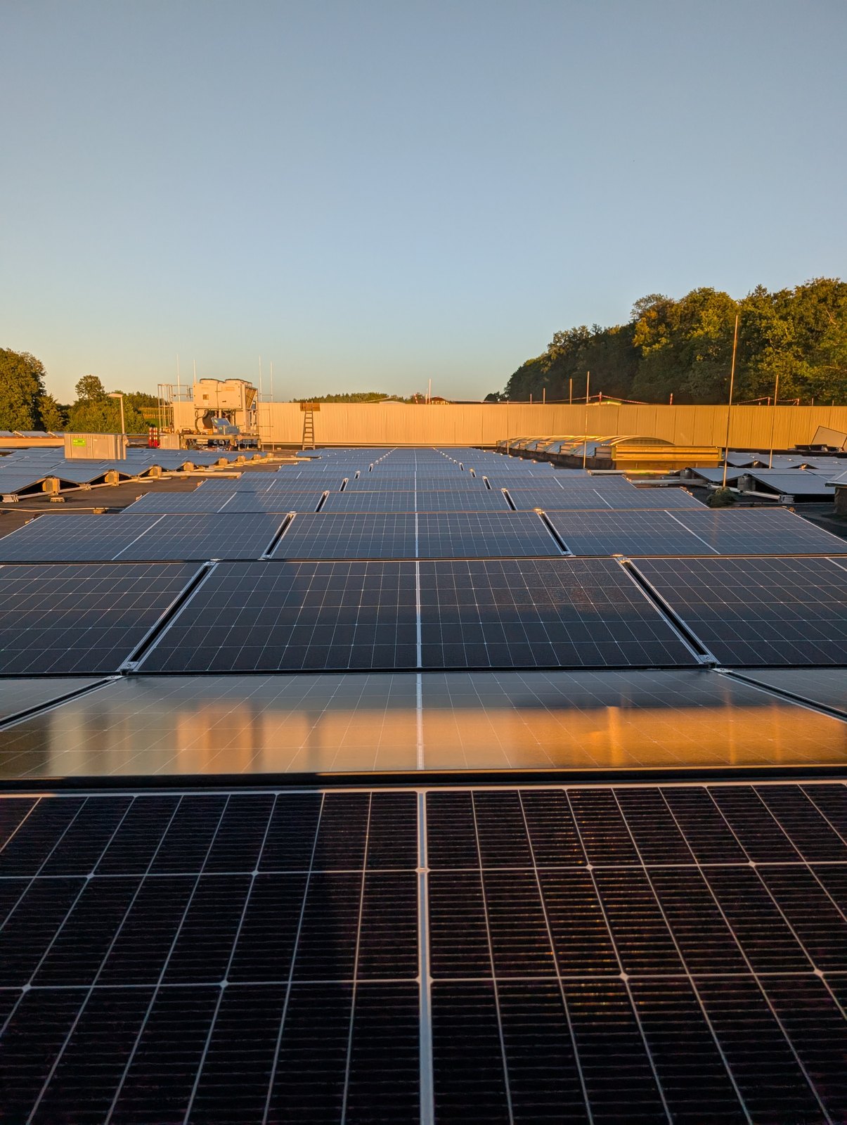 PV-Großanlage auf einem Industrieflachdach im Abendlicht