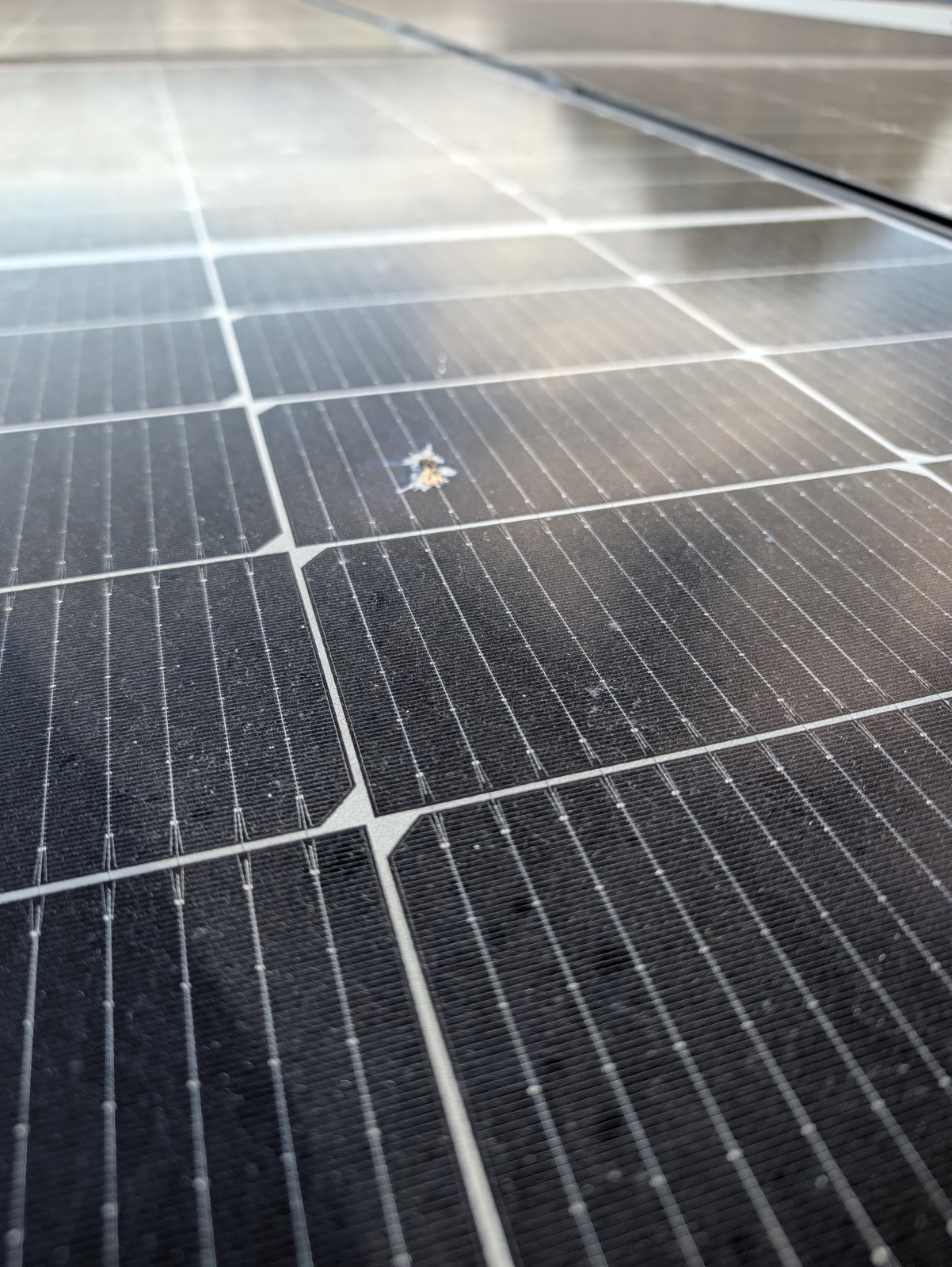 Verschmutzte PV-Module vor der Reinigung, Staub und Vogelkot aus der Nähe